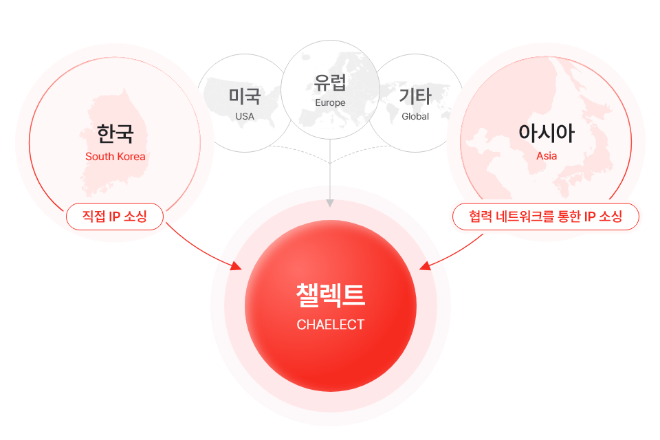 IP 라이선싱